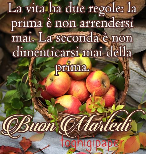 bellissime buon martedì autunnale|buon giorno buono martedì immagini.